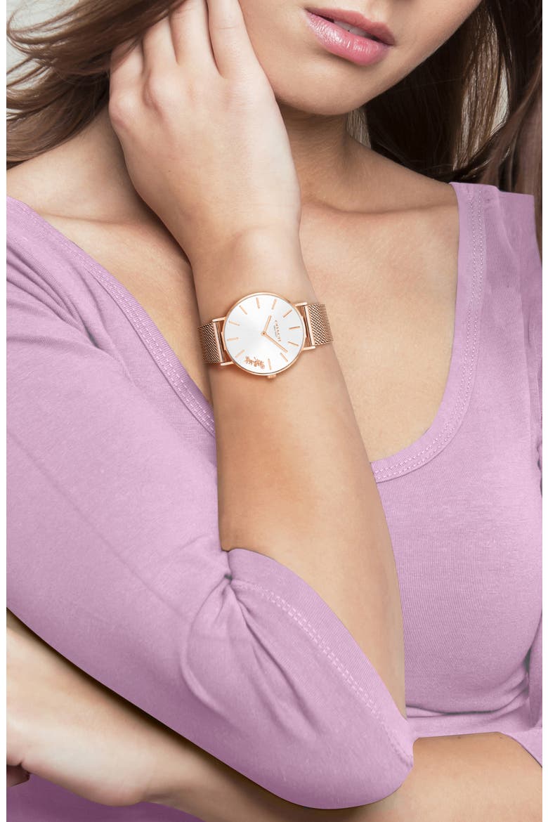 Perry Mesh Strap Watch, 36mm, Alternate, color, SILVER WHITE