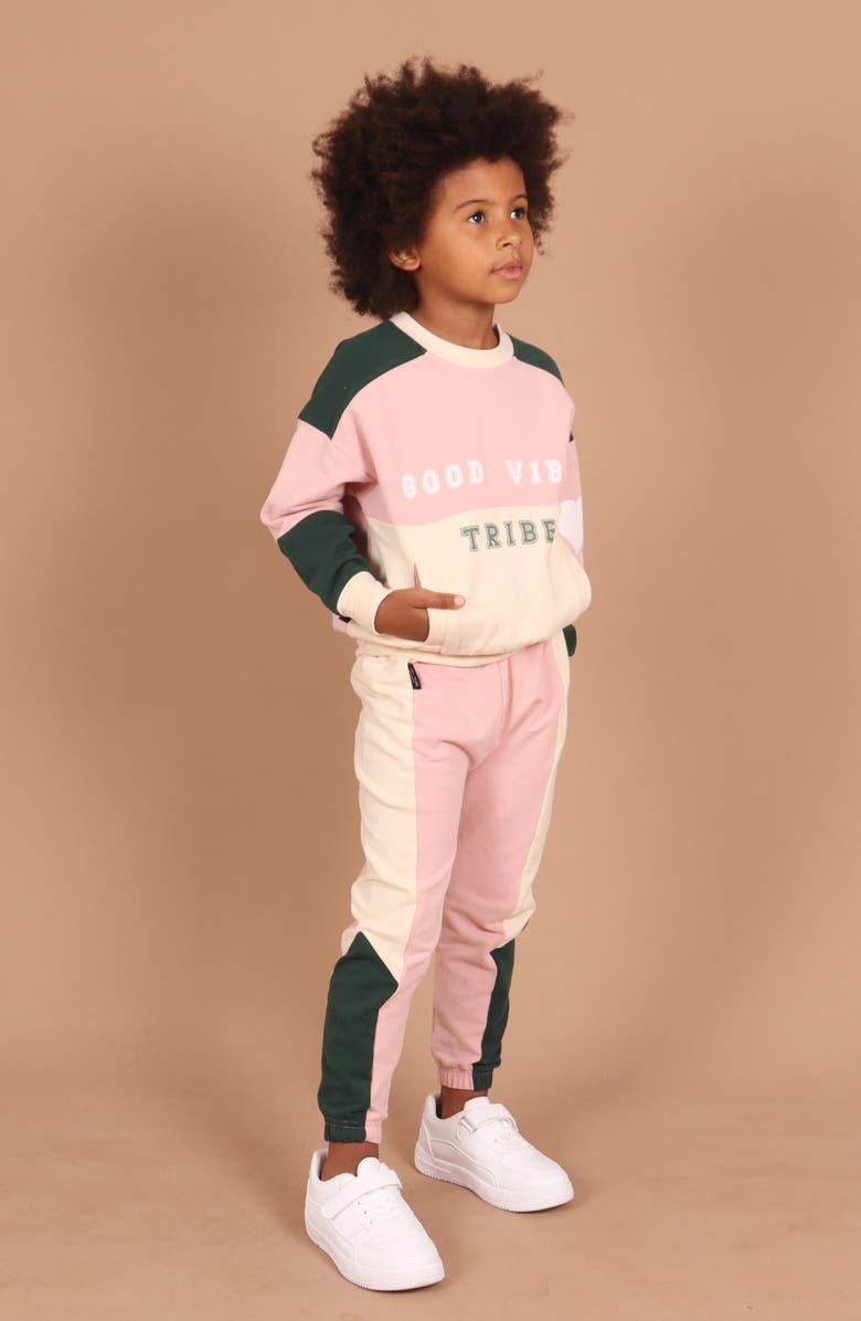 TINY TRIBE Kids' Segment Stretch Fleece Sweatpants, Alternate, color, 