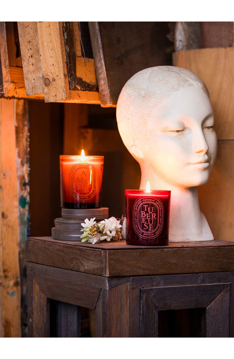 Diptyque Ambre (Amber) Scented Candle, Alternate, color, 