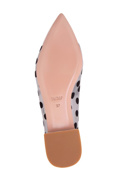 Beautiisoles Blake Pointed Cap Toe Flat In Off White