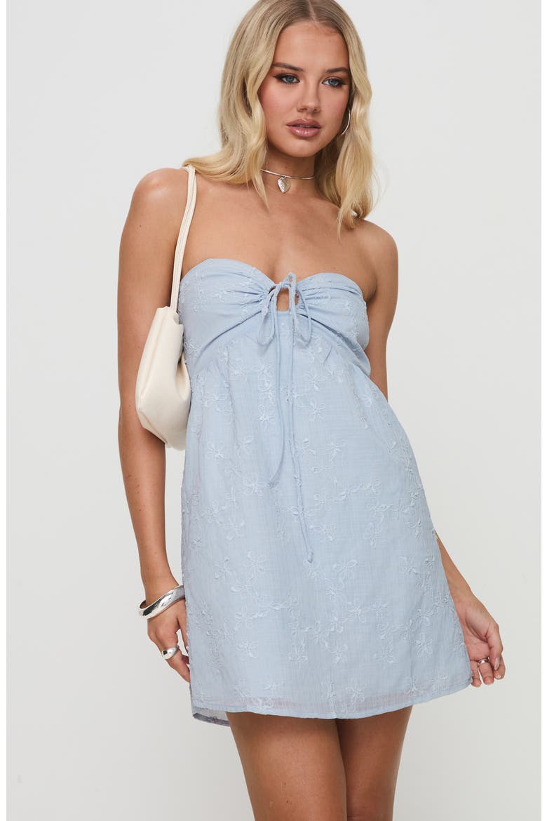Rosenberg Embroidered Strapless Minidress, Alternate, color, BLUE