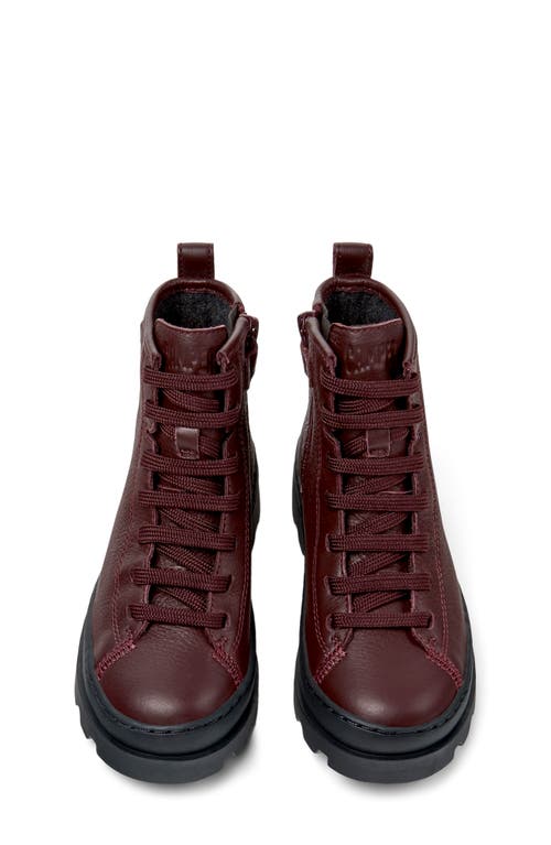 Camper Brutus High Top Sneaker In Burgundy