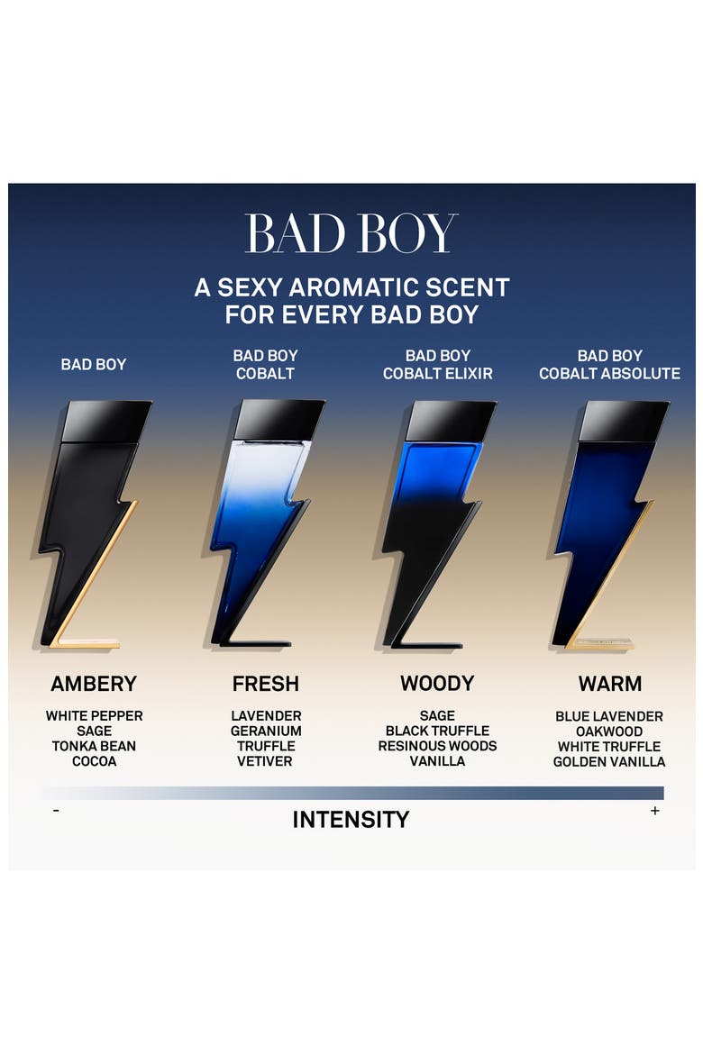 Bad Boy Cobalt Absolute Eau de Parfum Spray, Alternate, color, NO COLOR