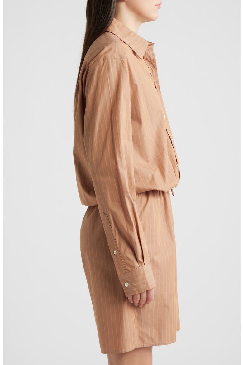 Cinch Waist Button-Up Shirt, Alternate, color, DUNE STRIPE