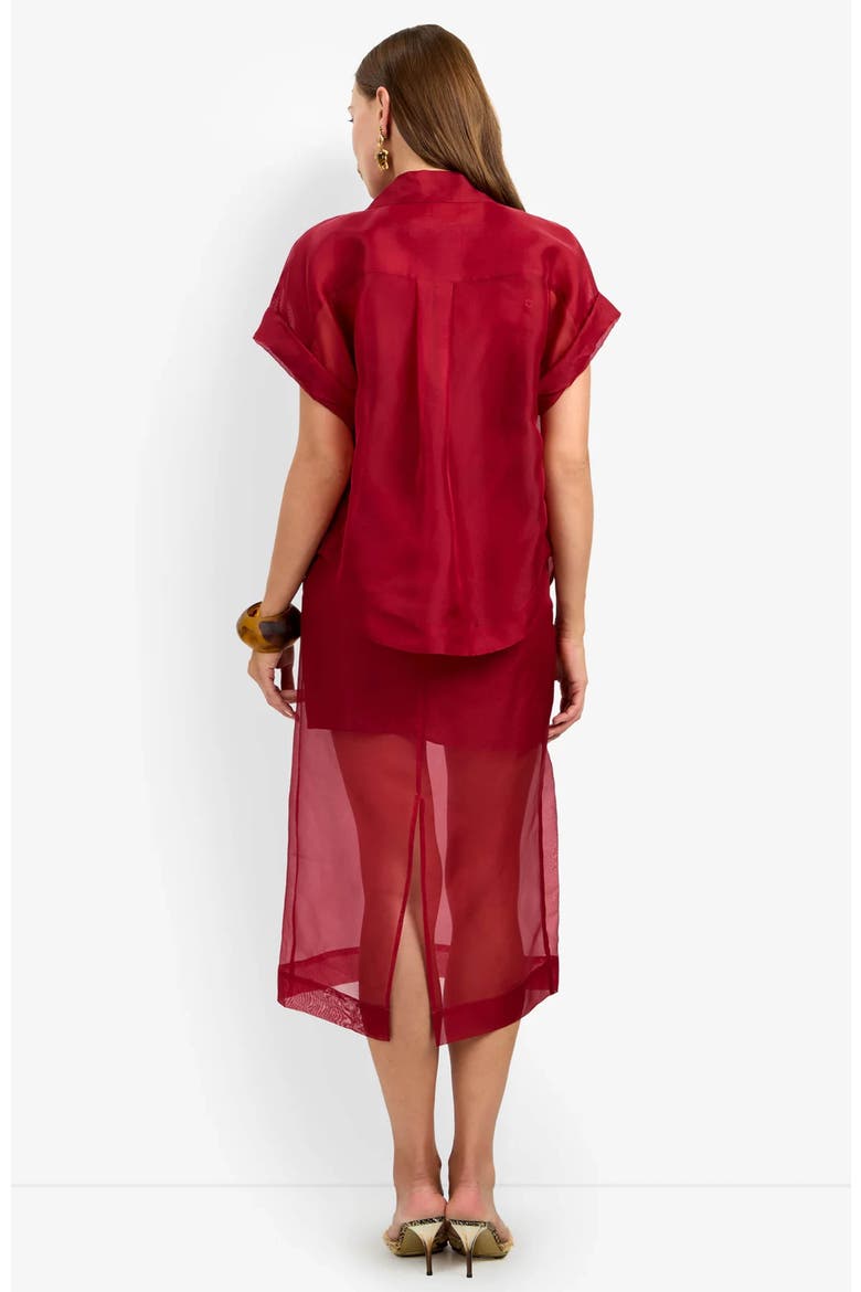 Costanzo Top, Alternate, color, Barolo