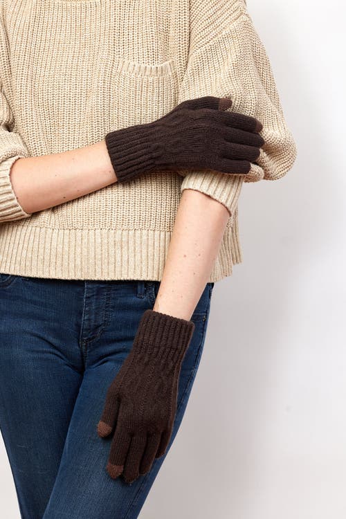Hat Attack Frosty Touch Glove In Brown