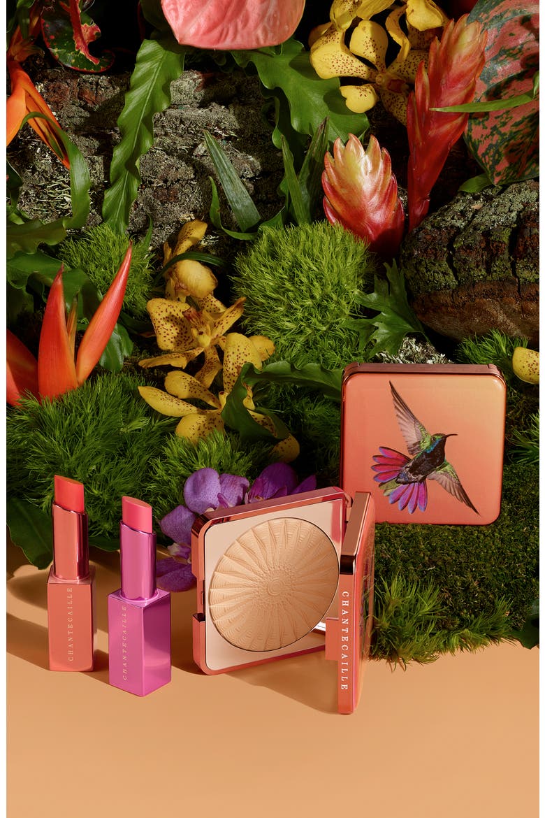 Hummingbird Perfect Blur Finishing Powder (Limited Edition), Alternate, color, NO COLOR