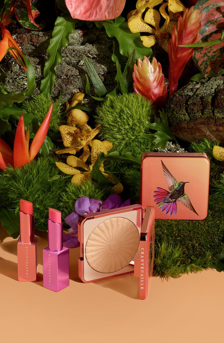 Chantecaille Hummingbird Perfect Blur Finishing Powder, Alternate, color,