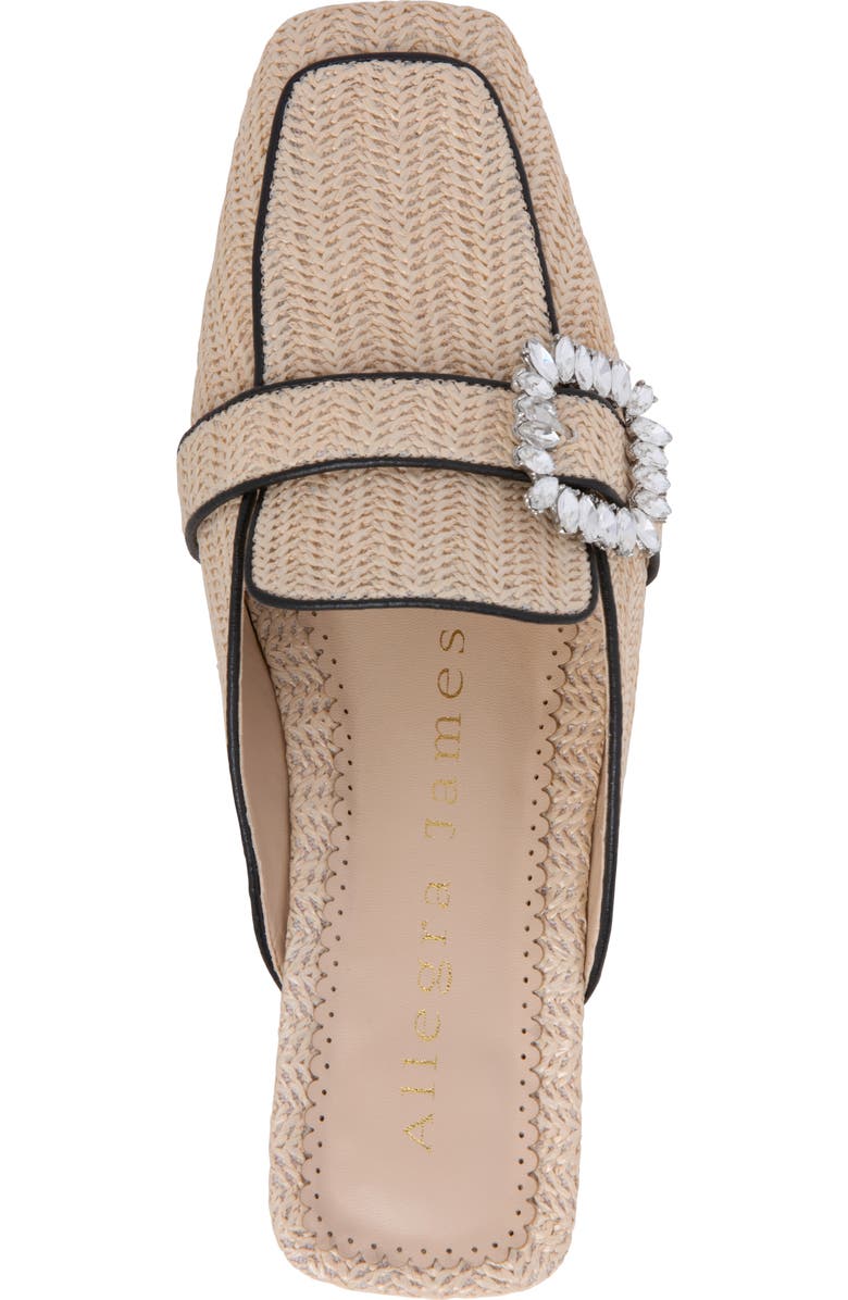 Allegra James Anais Raffia Slide, Alternate, color,