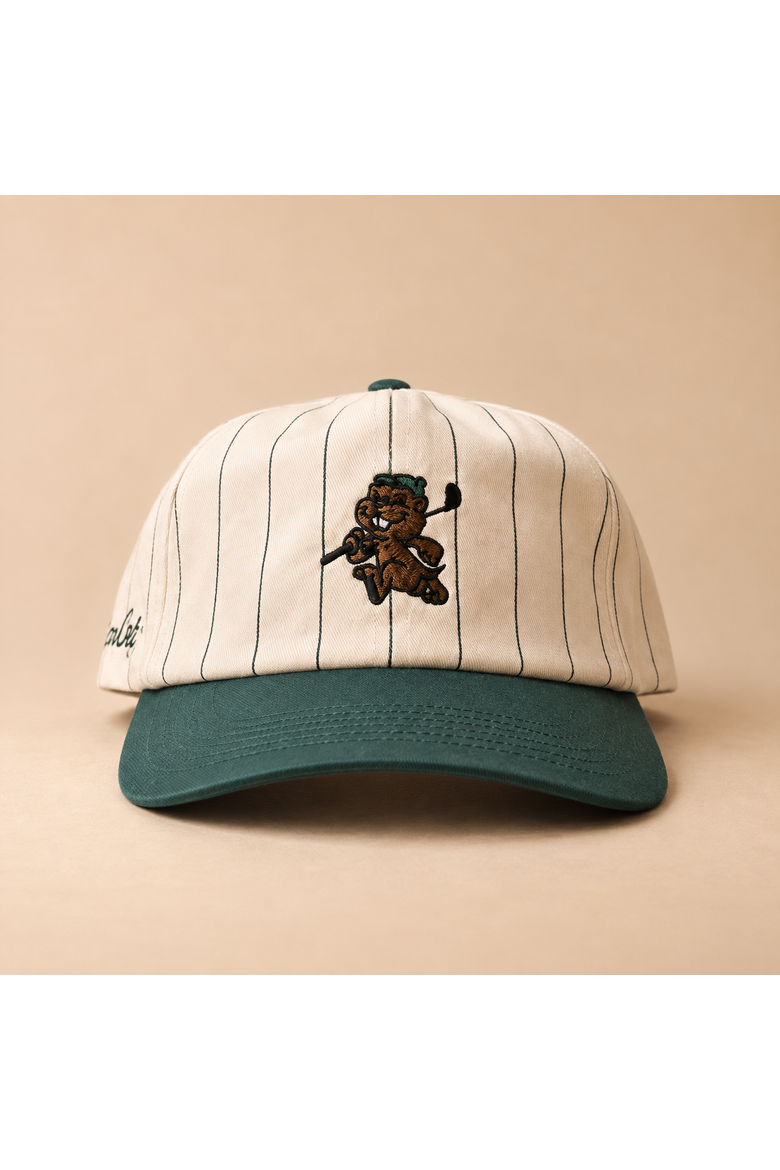The Pinstripe Gopher Cap, Main, color, Green