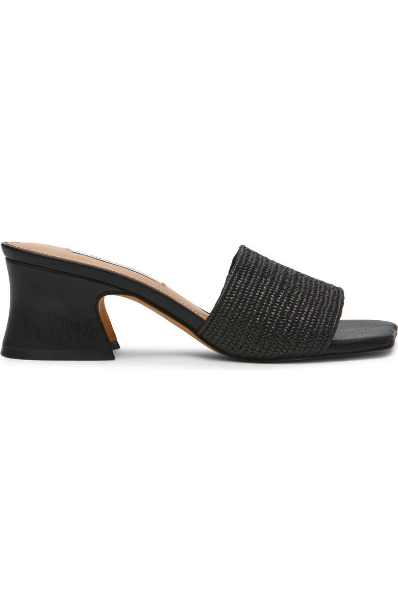 Steve Madden Frolic Slide Sandal, Alternate, color, Black Raffia