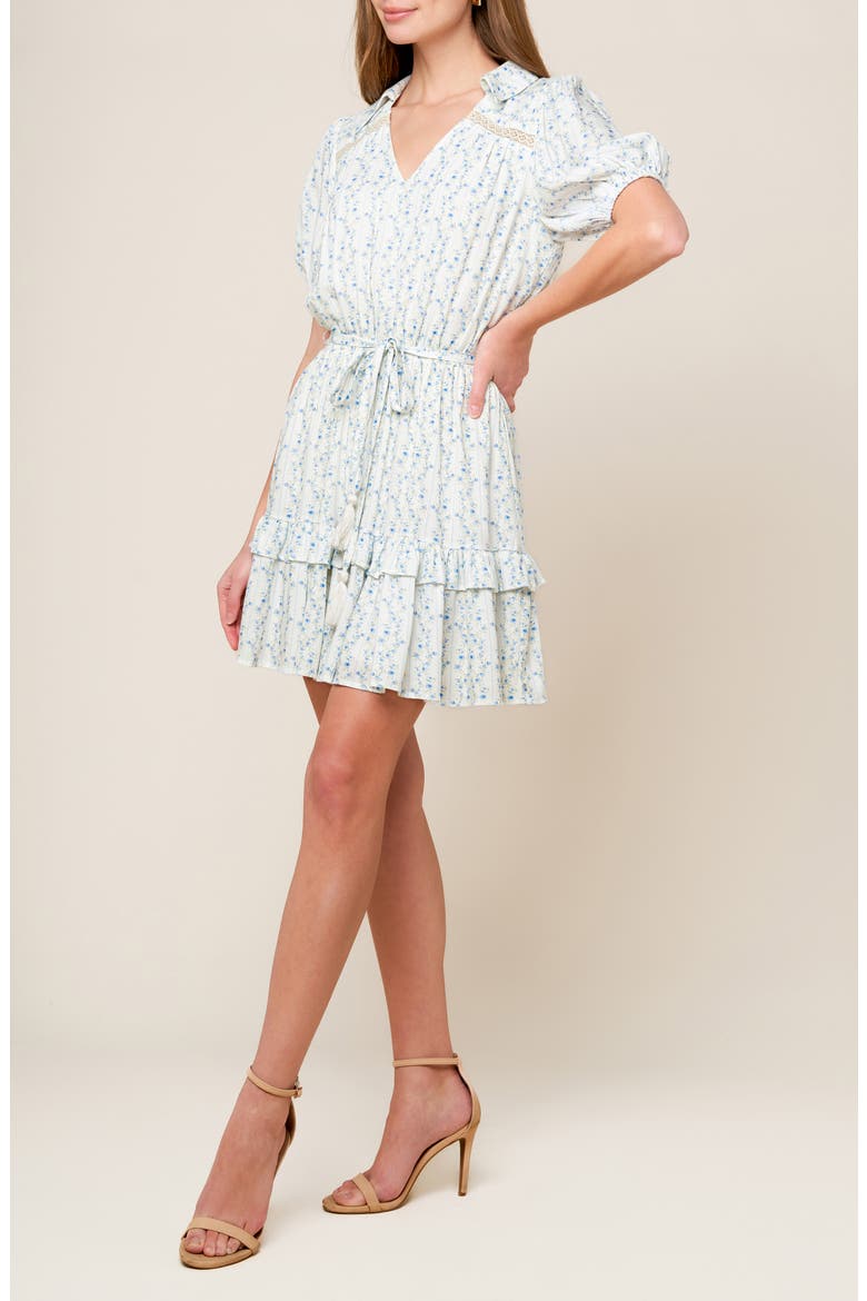 Floral Puff Sleeve Fit & Flare Minidress, Alternate, color, IVORY BLUE