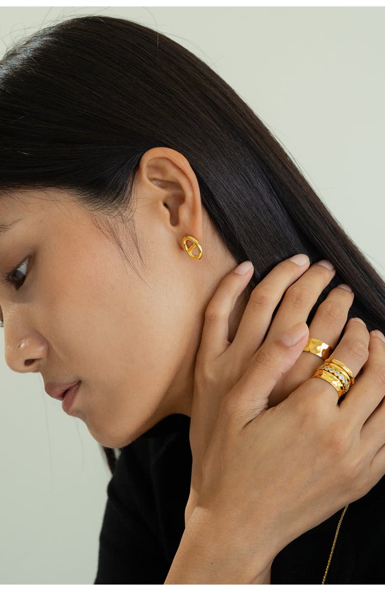 Bearfruit Jewelry Sterling Silver 18k Gold Plated Erin Circle Necklace & Stud Earrings Set, Alternate, color, Gold