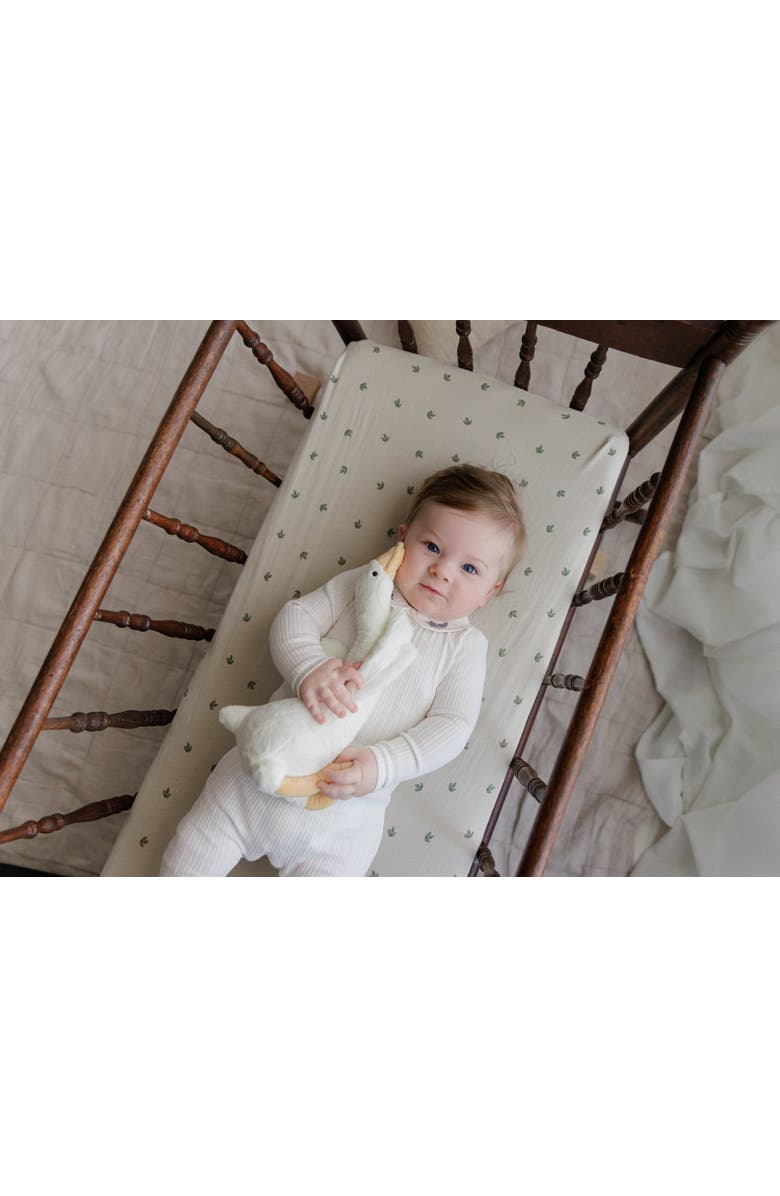 Ely
s 
Co. Organic Cotton Embroidered Collar Collection - Footie, Alternate, color, Ivory Leaf