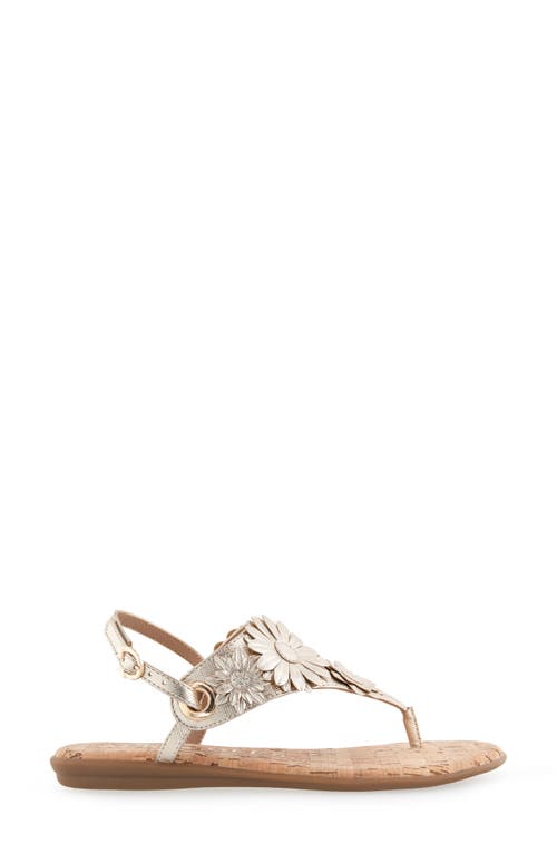 AEROSOLES AEROSOLES CONNIE FLOWER SLINGBACK SANDAL