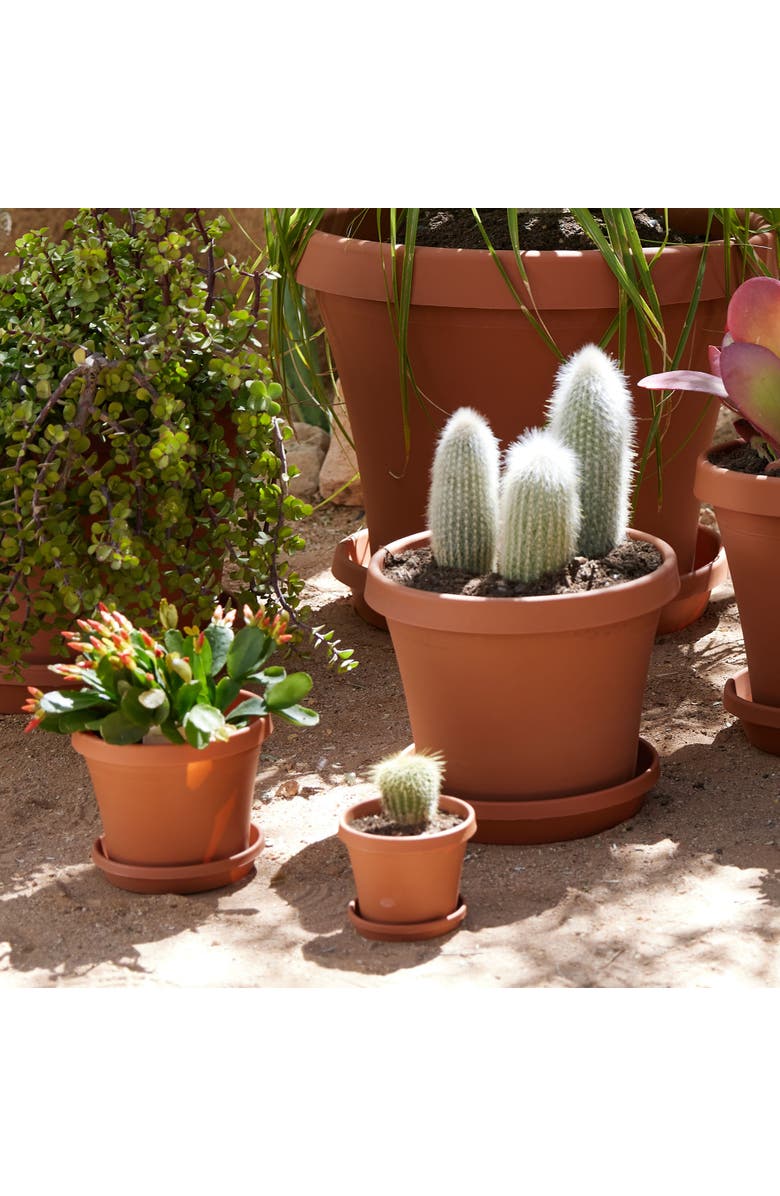 Bloem 12 Inch Terra Pot Planter, Terra Cotta, Alternate, color, Brown