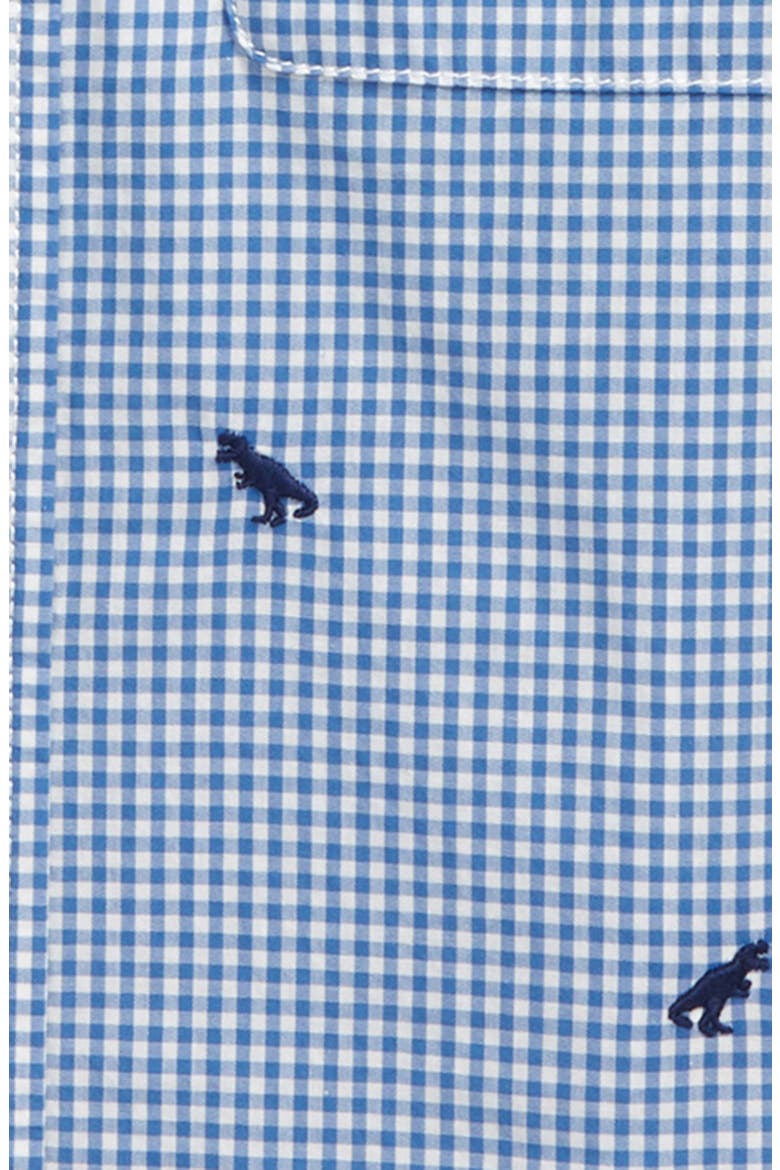 Kids' Embroidered Gingham Button-Up Shirt, Alternate, color, SKY BLUE/ IVORY GINGHAM DINOS