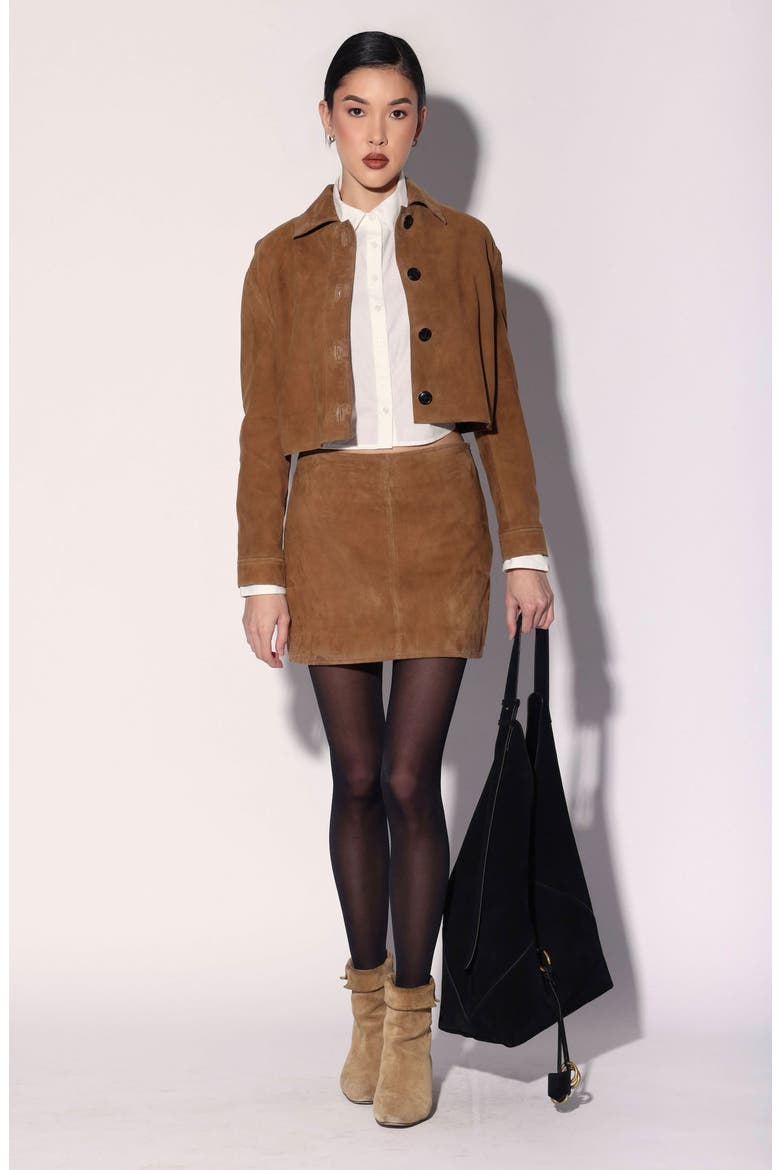 Suzette Suede Leather Jacket, Alternate, color, Brown