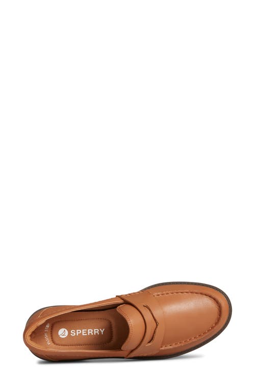 Sperry Top-sider® Sperry Wells Boat Shoe In Dark Tan