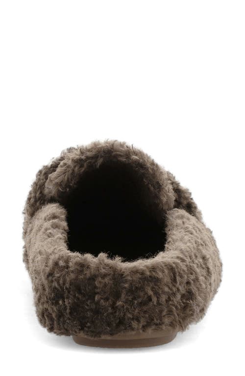 Mia Harmonie Faux Shearling Bit Slipper In Brown