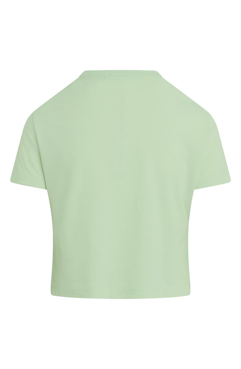 Favorite Daughter The Crop Varsity T-Shirt, Alternate, color, Mint