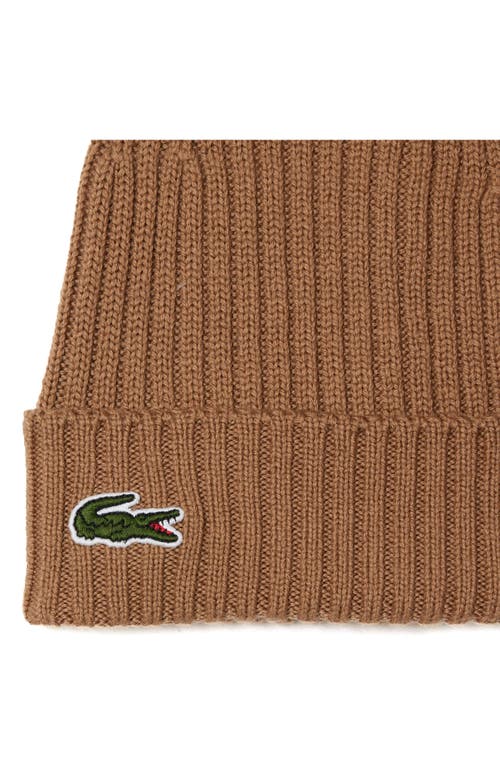 Lacoste Wool Cuff Beanie In Brown