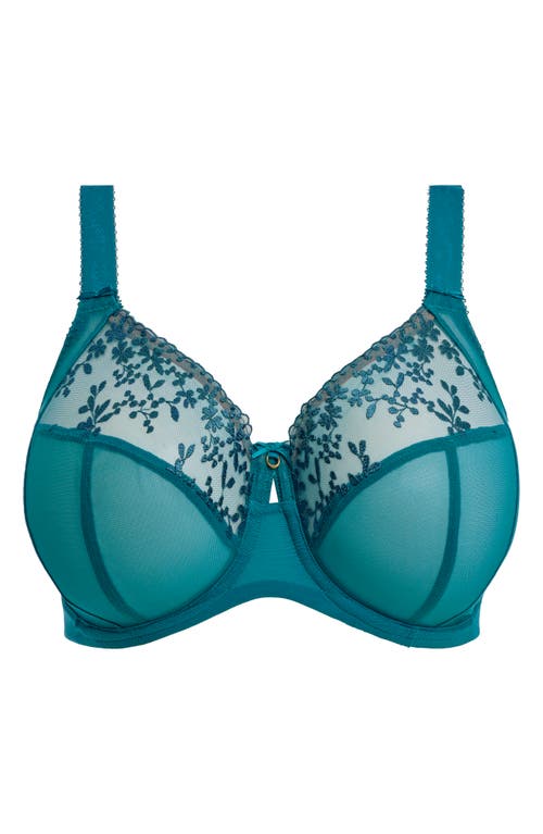 Elomi Zarla Full Figure Underwire Bra In Blue