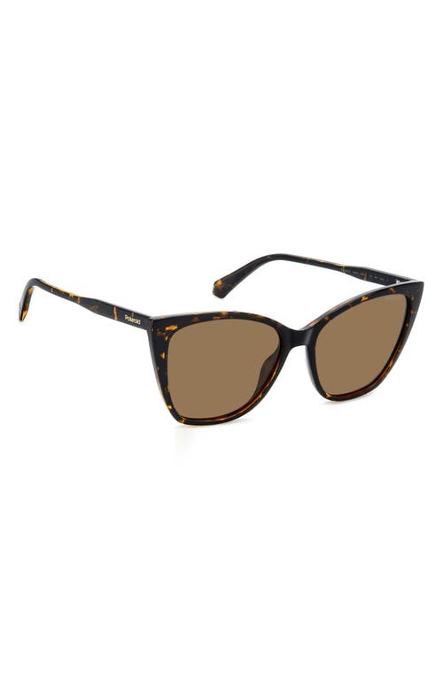 Polaroid 56mm Polarized Cat Eye Sunglasses In Brown