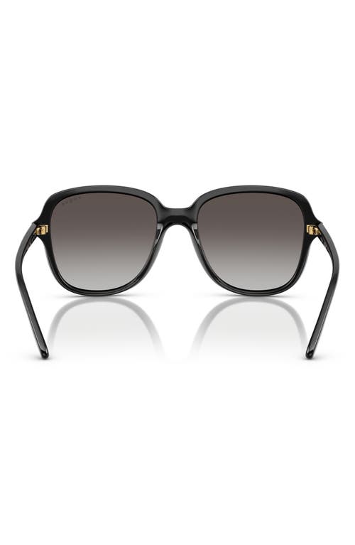 Vogue 53mm Polarized Square Sunglasses In Black