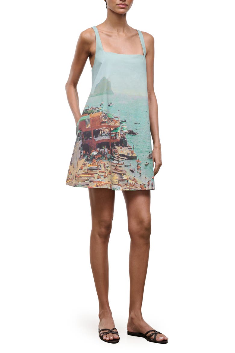 brio dress shirts Brio Print Mini Shift Dress (Women)