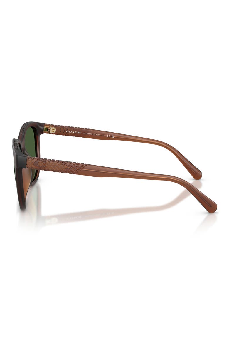 54mm Square Sunglasses, Alternate, color, TRANSPARENT BROWN / GREEN