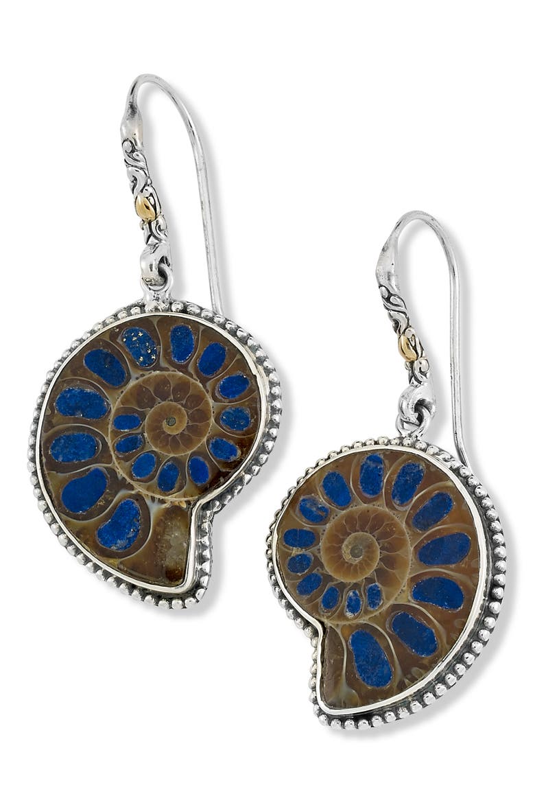 Lapis Ammonite Fossil Drop Earrings, Main, color, SILVER MULTI