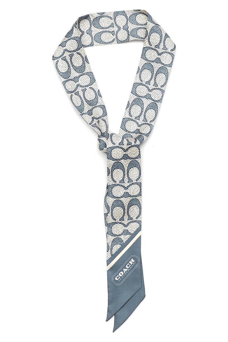 Textured Signature Print Silk Skinny Scarf, Alternate, color, LIGHT DENIM