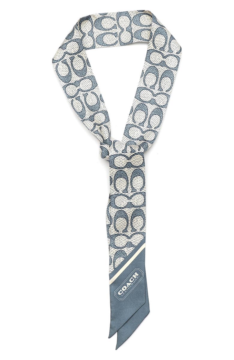 COACH Textured Signature Print Silk Skinny Scarf, Alternate, color, Light Denim