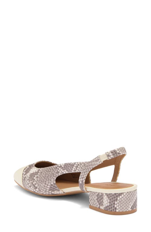 Nordstrom Rack Blaire Slingback Pump In Ivory Snake