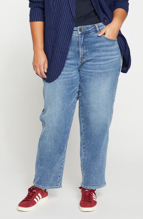 Universal Standard Elliot High Waist Tuxedo Stripe Straight Leg Jeans In Blue