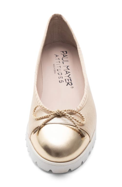 Paul Mayer Bravo Lug Sole Ballet