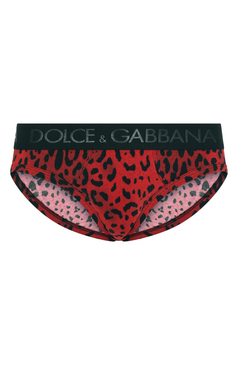 Dolce&Gabbana Leo Midi Fit Leopard Print Briefs, Alternate, color,
