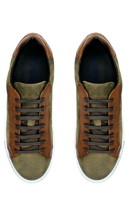 Belvedere Rino Low Top Sneaker In Ant. Cognac