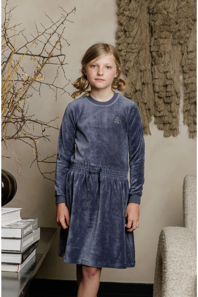 Velour Plaid Bear Collection - Dress(Toddler, Little Kid & Big Kid), Alternate, color, Blue