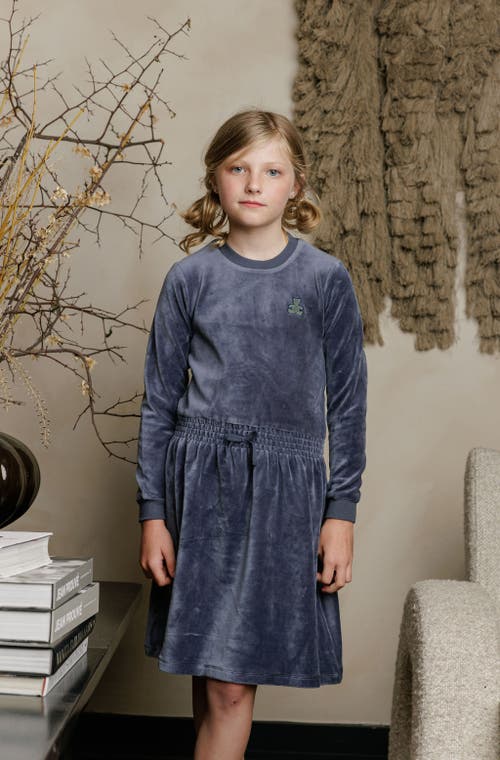 Ely's & Co. Velour Plaid Bear Collection In Blue