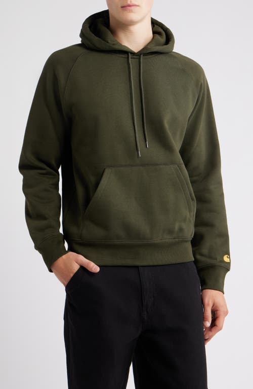Carhartt Work In Progress Chase Fleece Hoodie In Green