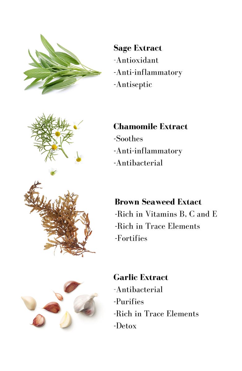 Leonor Greyl PARIS Crème Aux Fleurs Cream Shampoo, Alternate, color,