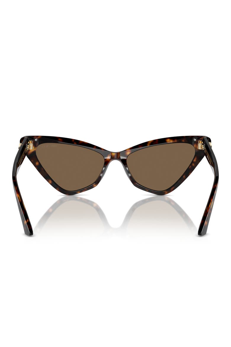 55mm Cat Eye Sunglasses, Alternate, color, HAVANA / DARK BROWN