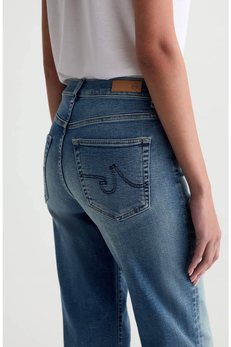Brinley Mid Rise Crop Straight Leg Jeans, Alternate, color, 15 YEARS BOUQUET