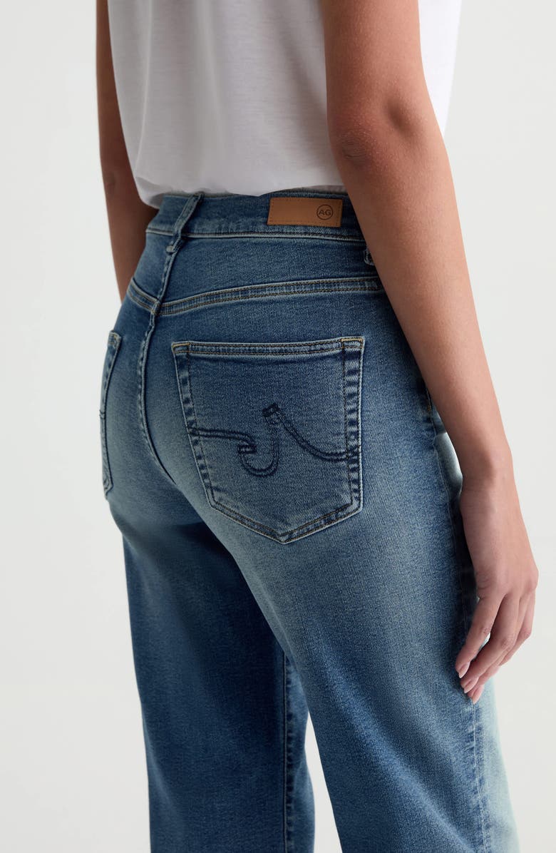 AG Brinley Mid Rise Crop Straight Leg Jeans, Alternate, color, 15 Years Bouquet