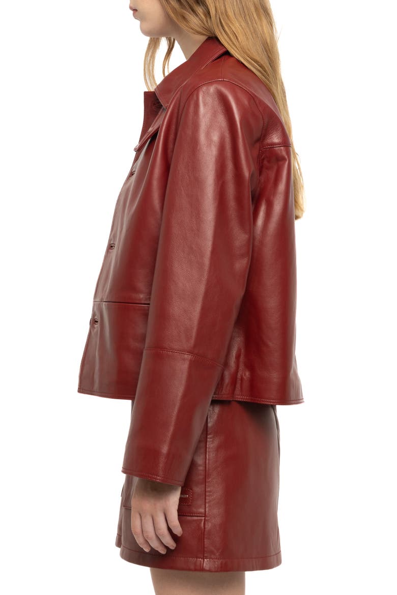 Lessa Leather Jacket, Alternate, color, CHERRY