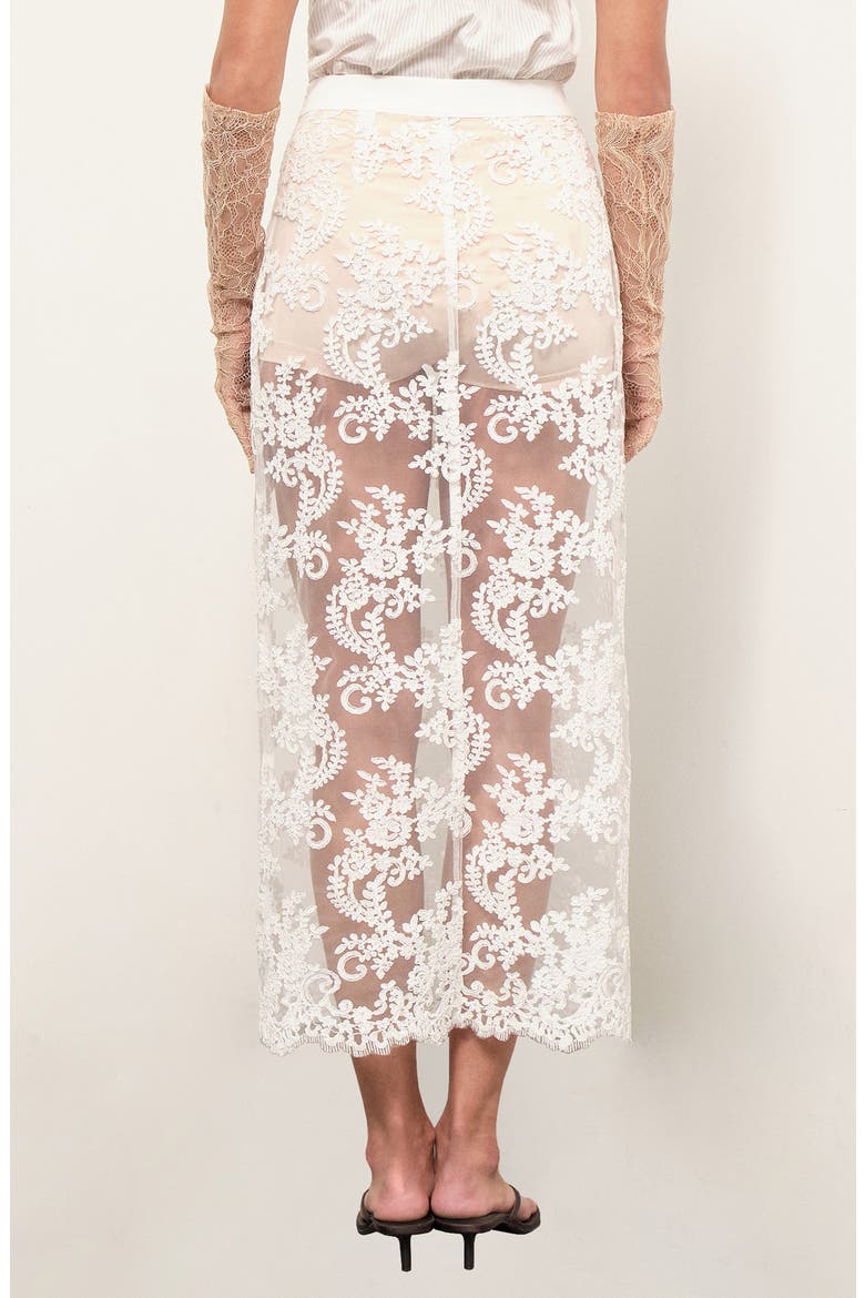 Cora Floral Lace Sheer Mesh Midi Skirt, Alternate, color, WHITE MESH LACE