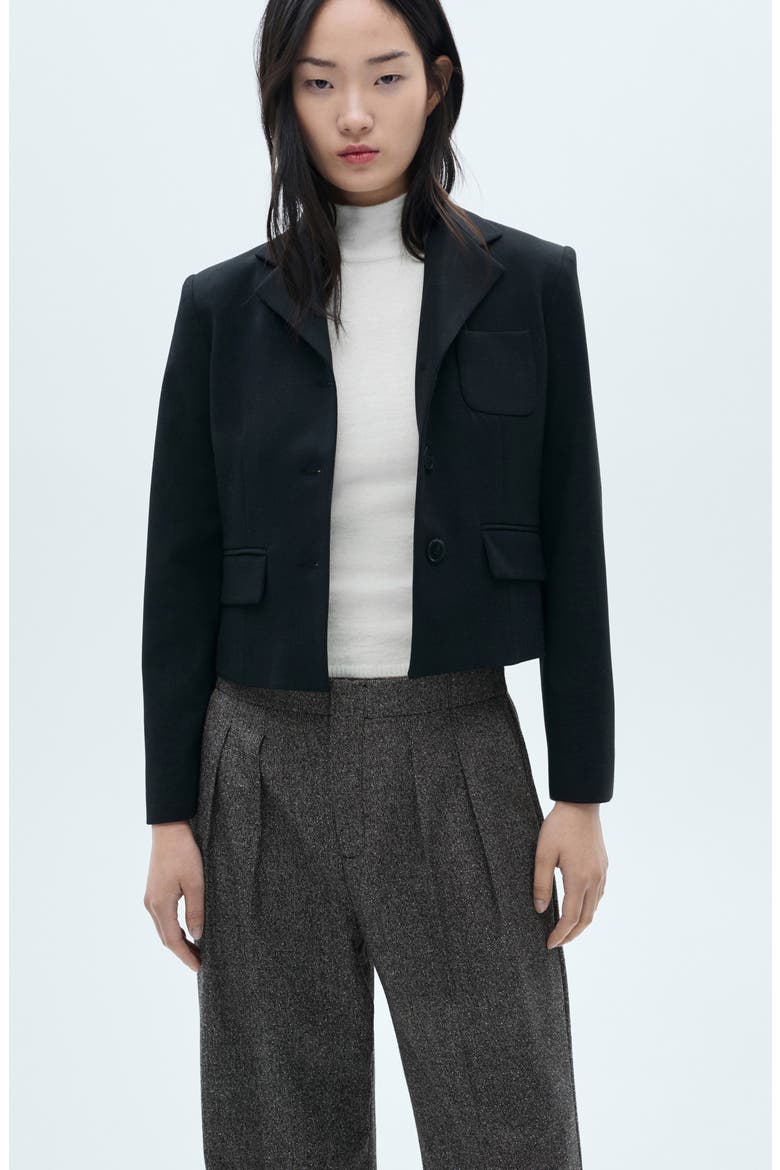 Flecked Pleated Trousers, Alternate, color, DARK GREY