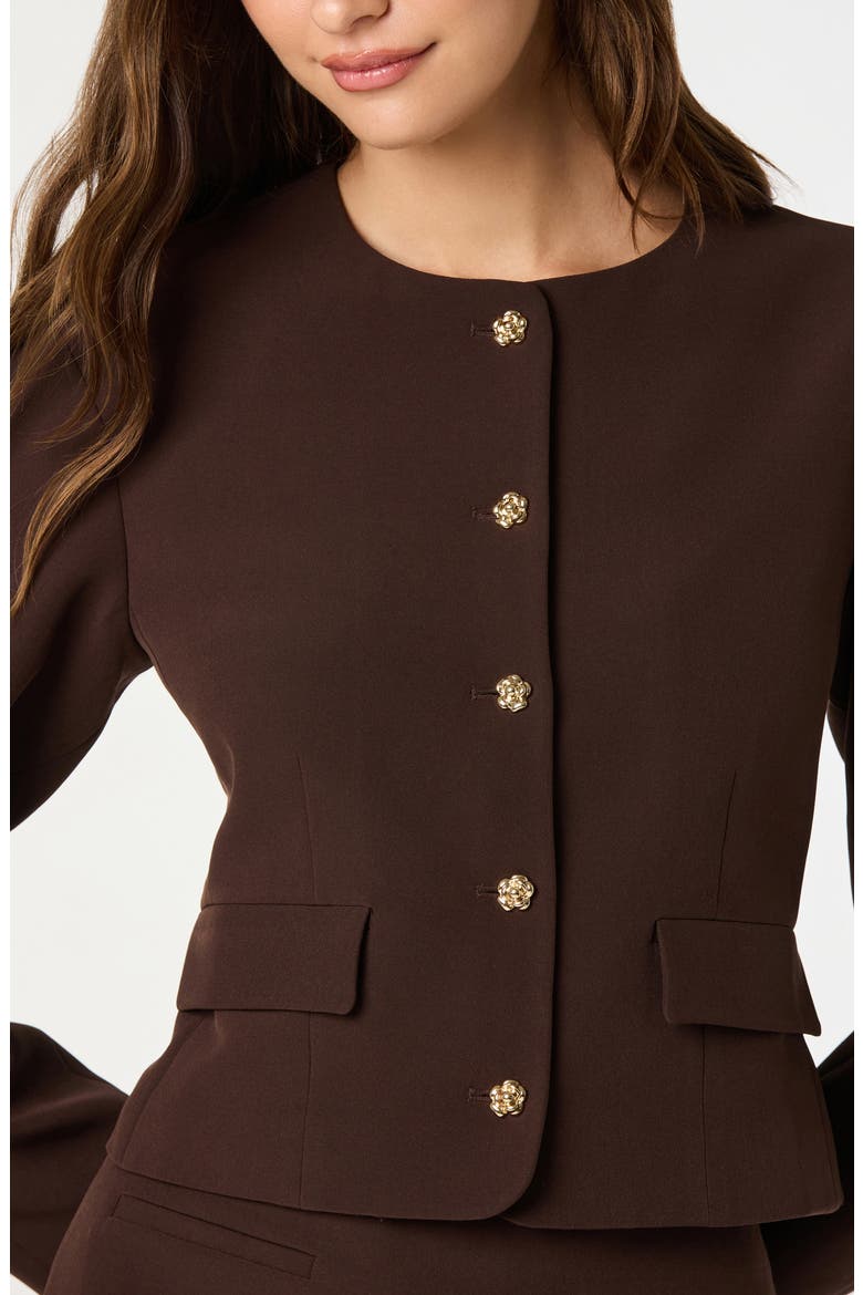 Curve Sleeve Jacket, Alternate, color, BROWN